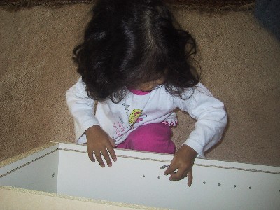 Isabel The Builder